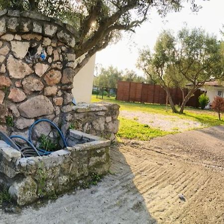 Вілла Πετρινη Κατοικια Στην Φυση Tagarades Екстер'єр фото