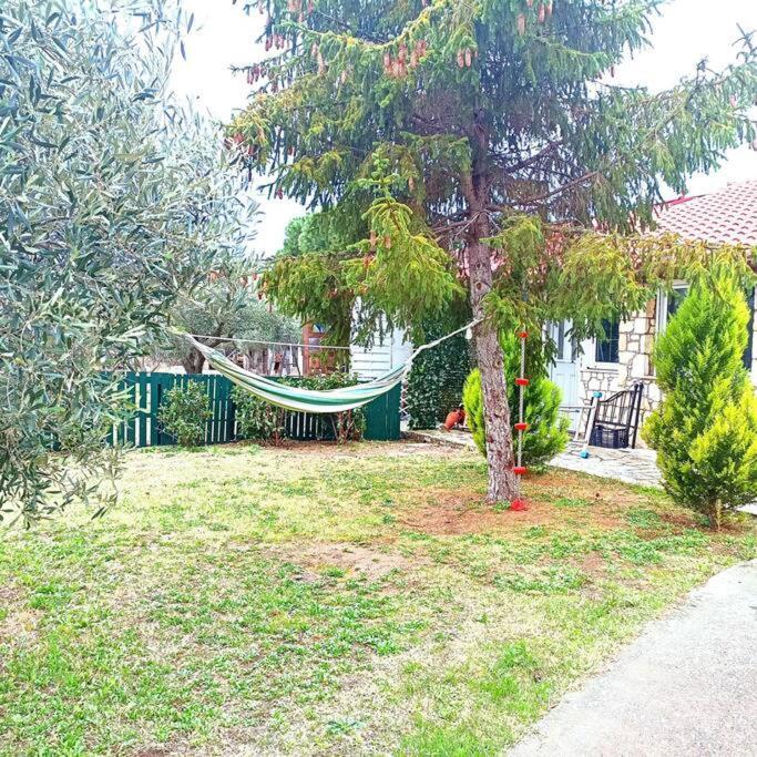Вілла Πετρινη Κατοικια Στην Φυση Tagarades Екстер'єр фото